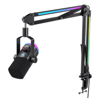Ver imagen 1 de Micrófono FIFINE AmpliGame AM8PROT USB/XLR con Brazo RGB