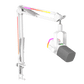 Micrófono FIFINE AmpliGame AM8PROT USB/XLR con Brazo RGB